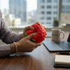 Giant Strawberry Squishy Toy